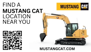 Mustang Cat Mustang Cat